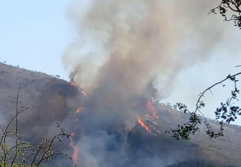 En el Valle del Ocotito sólo hay cuatro combatientes de incendios forestales