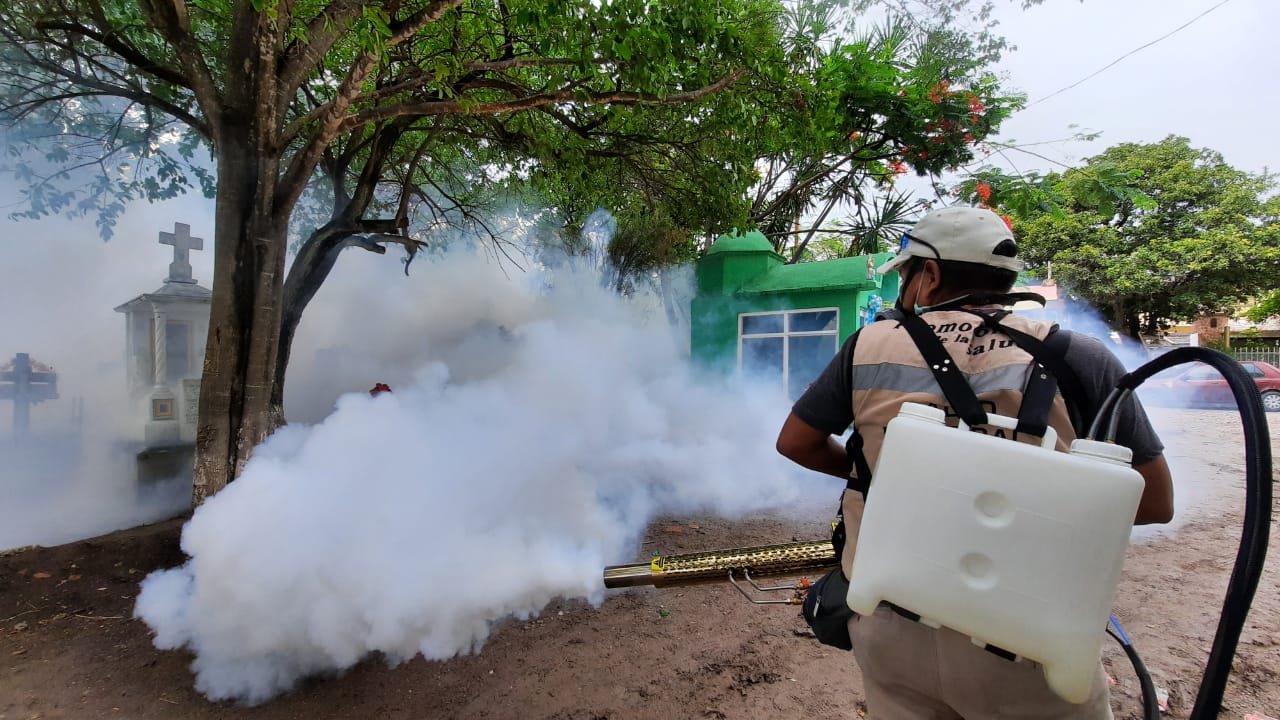 Por brotes de dengue en la capital, abatizan panteones municipales