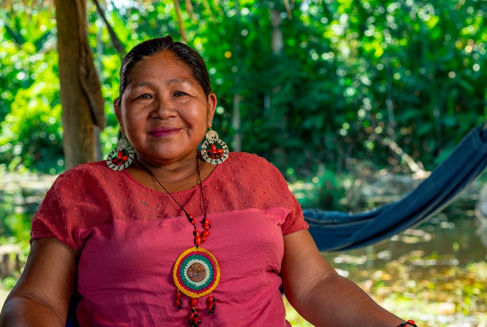 galardonada novel verde 2025